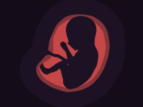 Fetal health classification — on cAInvas